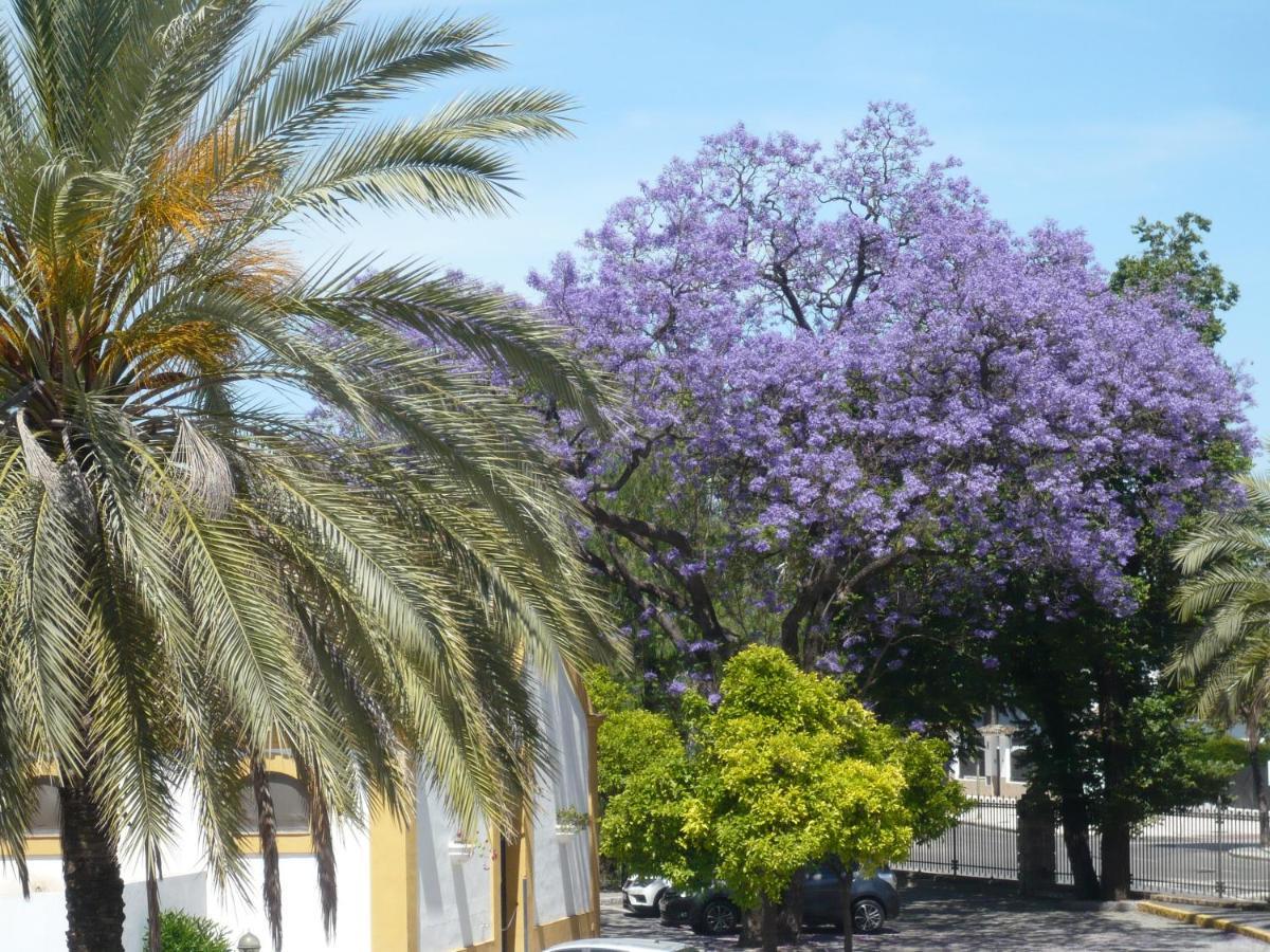 Real Escuela Home Jerez de la Frontera Exterior photo